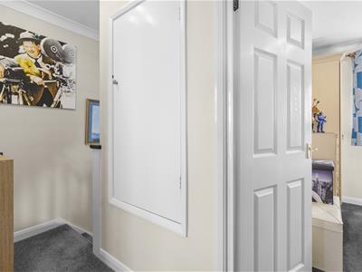 Picture 21